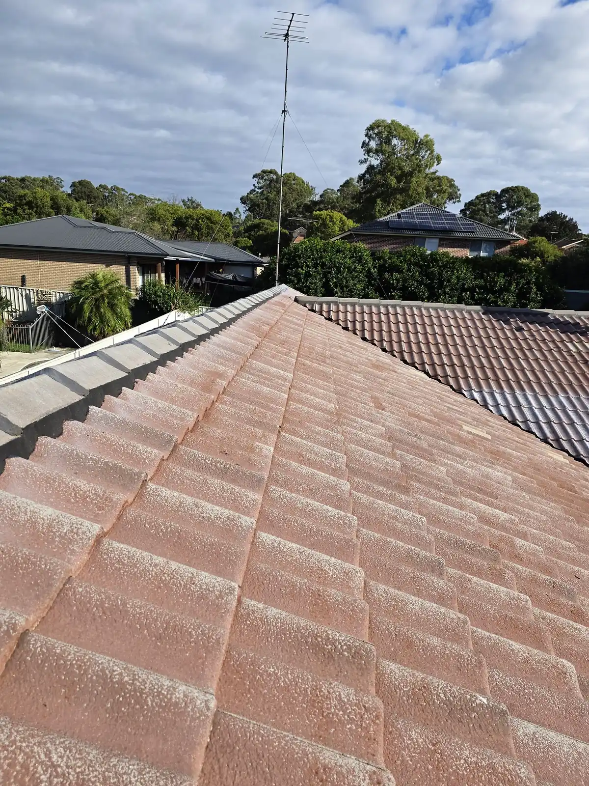 Aged and faded concrete tile roof before repairs