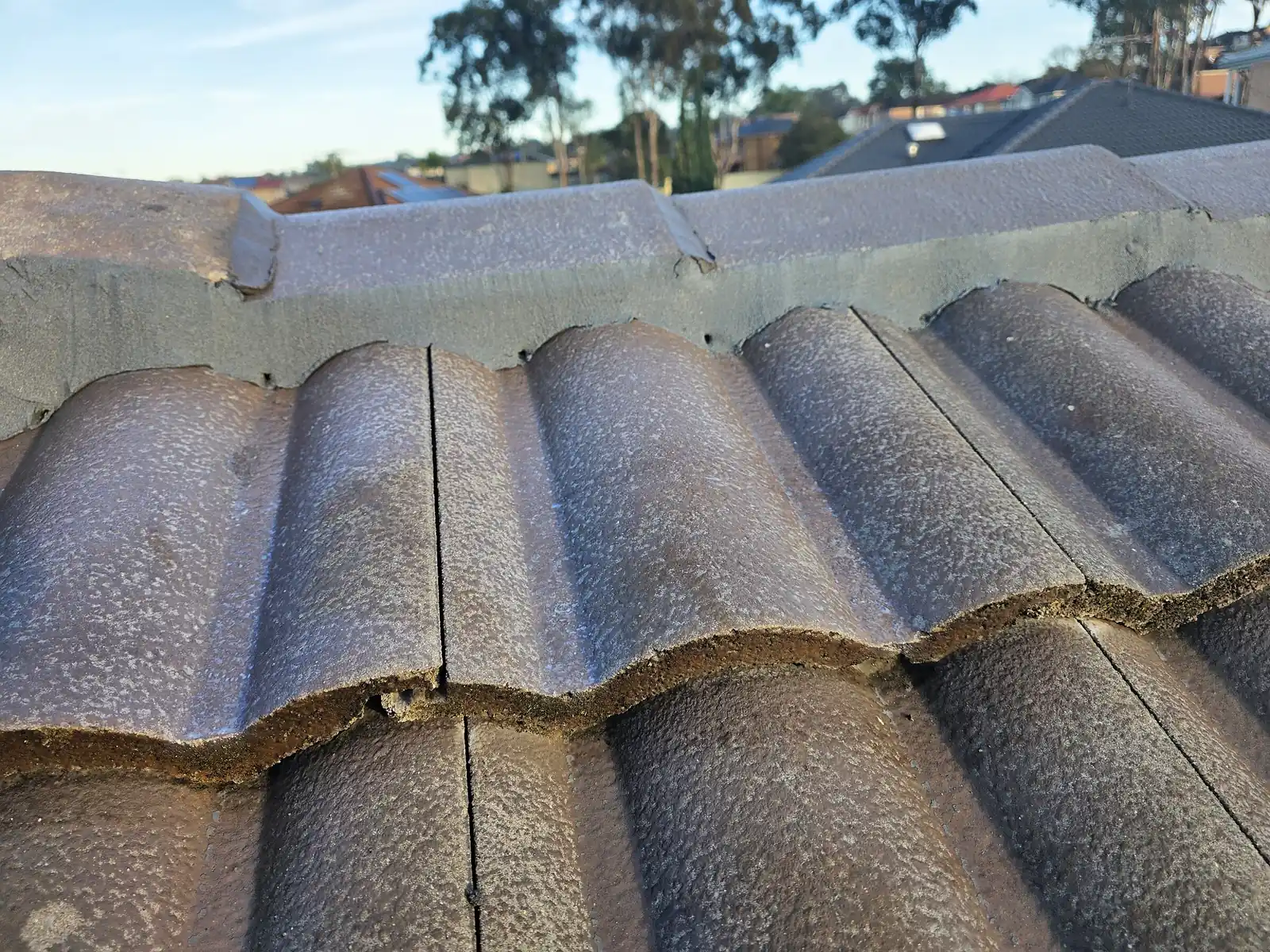 Repointed ridge capping and coated tiles up close